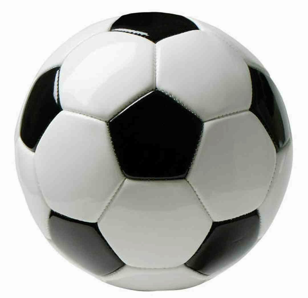 Balón de fútbol profesional No. 5